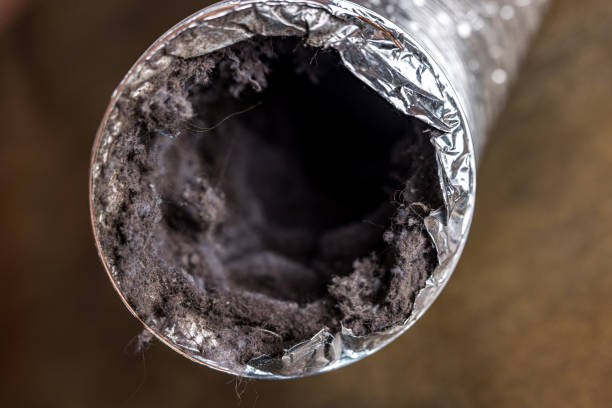 Best HVAC Air Duct Cleaning  in Zelienople, PA
