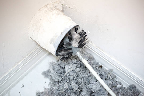 Best Affordable Air Duct Cleaning  in Zelienople, PA